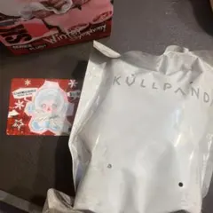 SKULLPANDA winter symphony Song of Snow