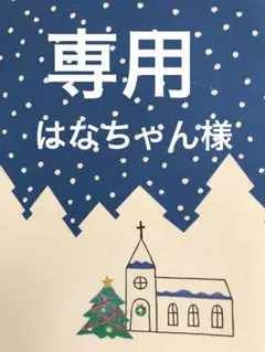 はなちゃん様専用サンタクロース