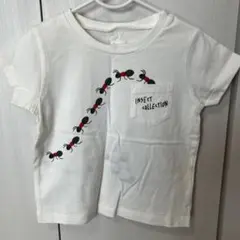 INSECT COLLECTION アリプリントTシャツ