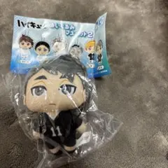 ハイキュー！！　宮治