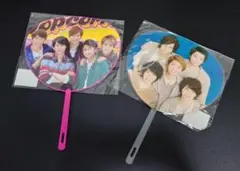 嵐　ミニうちわ　２枚セット