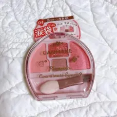 新品未開封❣️CANMAKE キャンメイク 04 いちごプランぷく