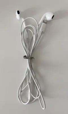 アップル 純正 イヤホン EarPods ライトニング