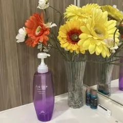 Item thumbnail for item 489a1708-2469-40b3-a646-58feae2639b0