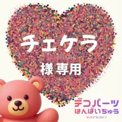 チェケラ 様　専用ページ