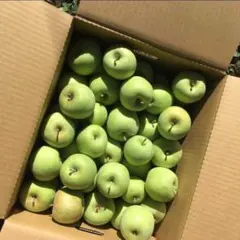 ネズミちゃん　様　専用　20キロ 加工用　りんご