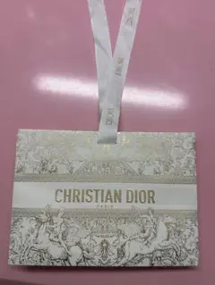CHRISTIAN DIOR ギフト袋 中型