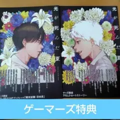 光が死んだ夏 ノベライズ 小説 ゲーマーズ 特典 4P ブックレット まとめ売り