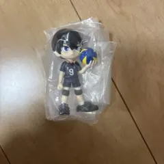 PalVerse ハイキュー!! 影山とびお