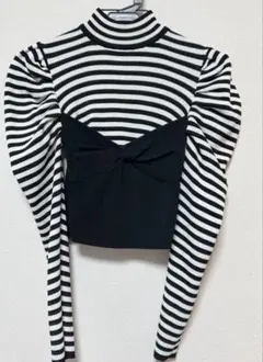 ZARA ボーダー　タートルネック クロップドトップ ビスチェ