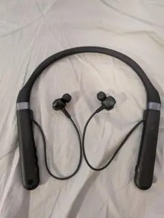 Item thumbnail for item d28c661b-7993-46a1-9a71-969d4e84f922