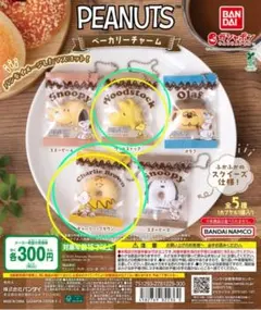 PEANUTS　ベーカリーチャーム　ウッドストック 　チャーリーブラウン　2点