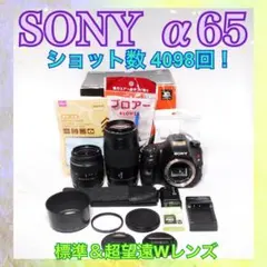 ソニー SONY α5000 レンズキット ショット数4800回 ミラーレス一眼