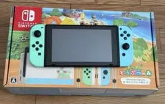 Nintendo Switch　本体　あつまれどうぶつの森　ケース・SDカード付