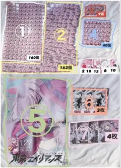 【 427点セット 】東京エイリアンズ 撫子ライカ まとめ売り