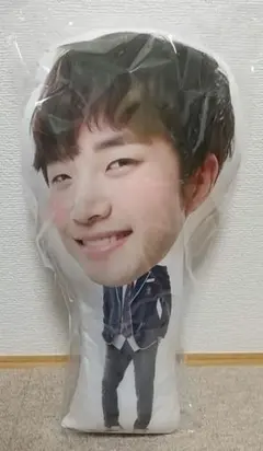2026年最新】junho クッションの人気アイテム - メルカリ