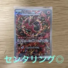 オドリドリ　SAR 美品