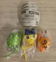 たまごっち カラフルマルチチャーム まめっち めめっち くちぱっち セット
