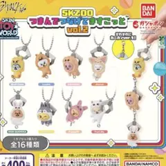SKZOO つまんでつなげてますこっと2 コンプリートセット　ガチャ　コンプ