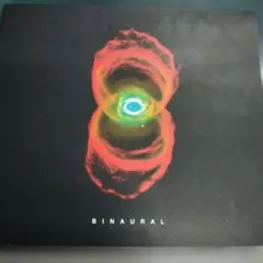 Pearl Jam Binaural CD