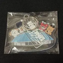 riize riizing loud 東京ドーム　アプグレ　アクキー