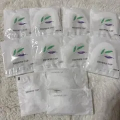 Item thumbnail for item 3d71771e-b64f-4aa6-9a6b-33c121c0f10e