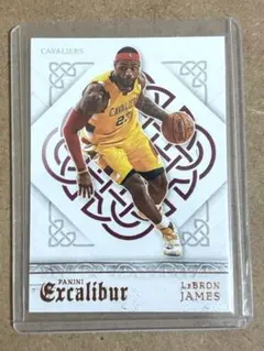 LeBron James Excalibur No. 51