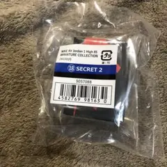 NIKE Air Jordan 1 Highガチャ　シークレット2