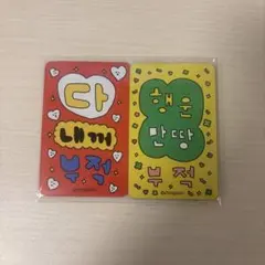 choigosim 鏡