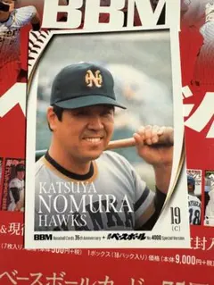 Item thumbnail for item 3b67c292-fe52-4007-93c1-4e8c5f11cb05