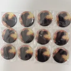 名探偵コナン　赤井秀一　缶バッジ20点セット　トムス　カメラ 名探偵コナン 赤井秀一 缶バッジ20点セット トムス カメラ - メルカリ