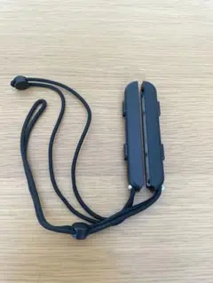 任天堂Switchジョイコンストラップ２つセット　　②