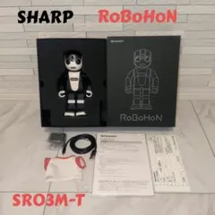 SHARP ロボホン 限定品 SR-06M-T 兄モデル - メルカリ