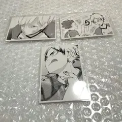 【匿名配送】ハイキュー!! クロニクル　フォトカード　白布、天童、瀬見