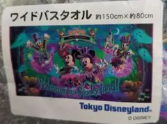 未使用★ディズニーランド★2018★ハロウィン★ワイドバスタオル