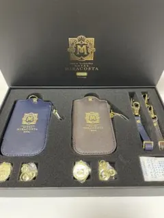 Item thumbnail for item 8d8bfa8c-be8f-476a-8f2e-019e5498170b