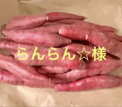 らんらん☆様　専用