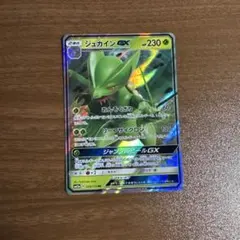 ジュカインEX RR XY 拡張パック「バンデットリング」 キラ 007/081