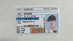 EBiDAN免許証 BUDDiiS HARUKI