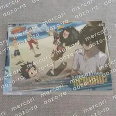 家庭教師ヒットマンREBORN! 海水浴 ミニフォトシールコレクション A20