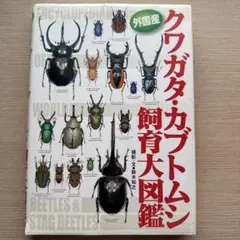 Item thumbnail for item 875bb9f7-5333-4a01-b024-99ec6d08d17d