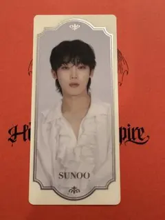 House of Vampire ENHYPEN ＡＲ　ソヌ