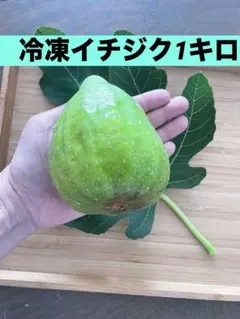 2026年最新】いちじく 苗の人気アイテム - メルカリ