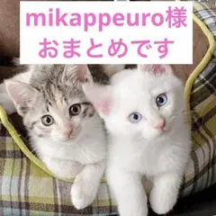 mikappeuroプロフも見てね♡様 リクエスト 2点 まとめ商品