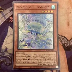 2026年最新】マルチャミープルリアの人気アイテム - メルカリ