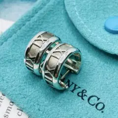 2026年最新】tiffany ピアス アトラスの人気アイテム - メルカリ
