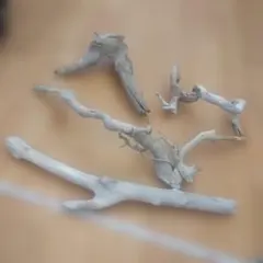 Item thumbnail for item d2df34d8-13e4-408f-ac22-b4b6c3cbb16c