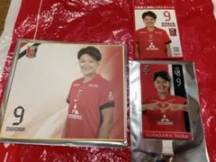 浦和レッズレディース9番菅澤選手グッズ3点