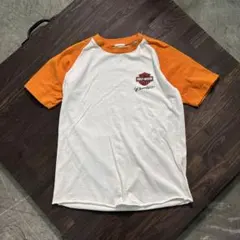 Item thumbnail for item cd47d4c8-d25c-4925-bf1c-6234ed7408c9