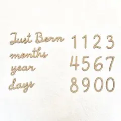 Item thumbnail for item 32cc7248-1918-4b1e-b3b2-7bae00cc1da0